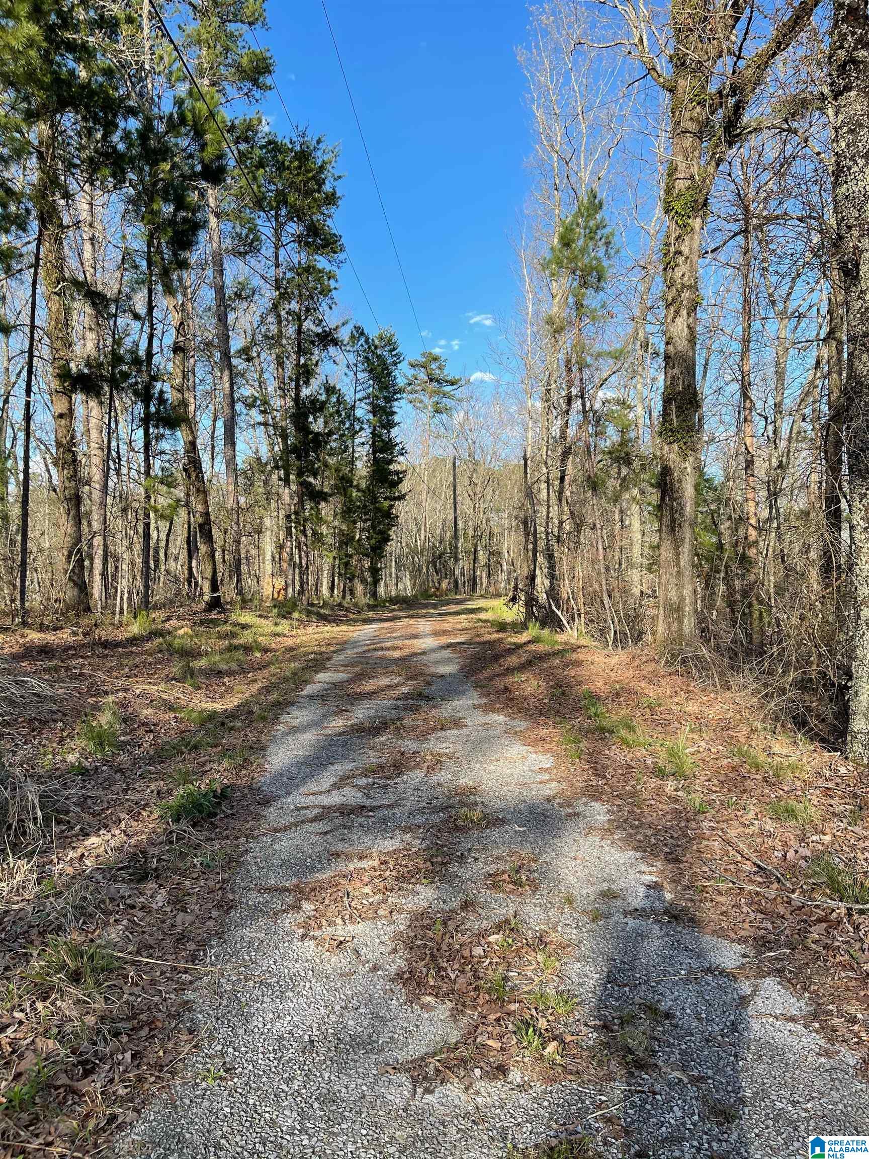 Lot 1 Statum Farm Road, Unit 1 Columbiana, AL 35051 - Photo 3 of 12