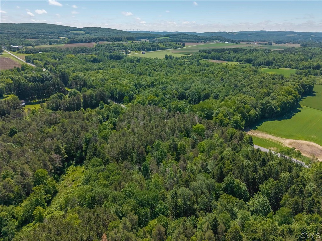 8804 Becker Road Springwater, NY 14572 - Photo 33 of 34