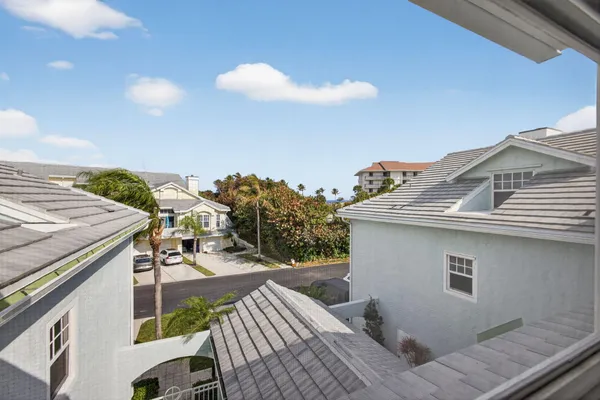 a view of a park with a large trees