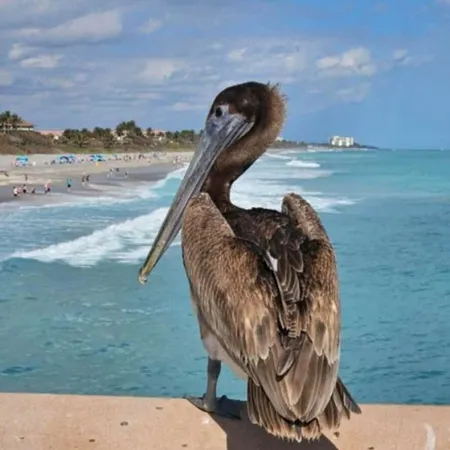 $949,900 | 1306 Mainsail Circle, Jupiter, FL 33477