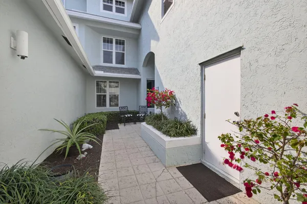 a potted plant sitting in front of a house
