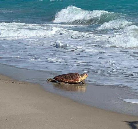 $949,900 | 1306 Mainsail Circle, Jupiter, FL 33477