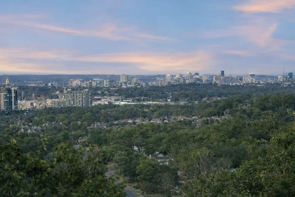 a view of a city with lush green forest