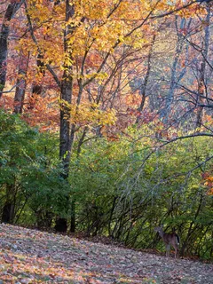 $3,999,900 | 5887 Fredericksburg Drive, Nashville, TN 37215