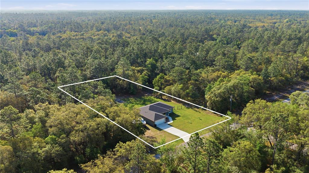 279 Southwest Fig Tree Lane Dunnellon, FL 34431 - Photo 30 of 33 an aerial view of house with a swimming pool