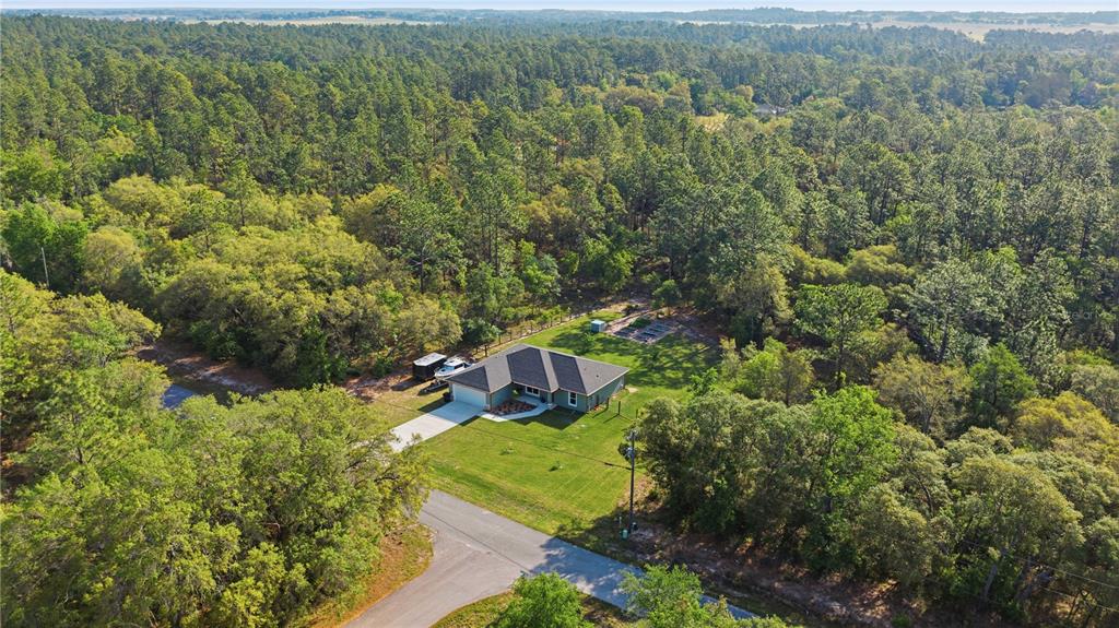 279 Southwest Fig Tree Lane Dunnellon, FL 34431 - Photo 31 of 33 a view of a forest with a houses