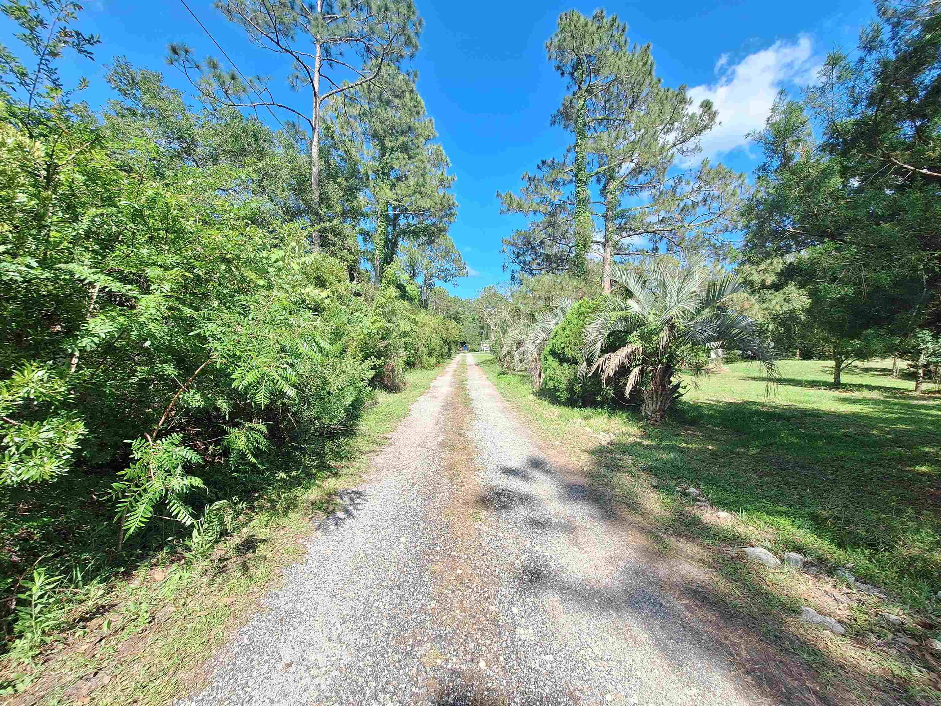 5610 Datil Pepper Road St. Augustine, FL 32086 - Photo 27 of 48