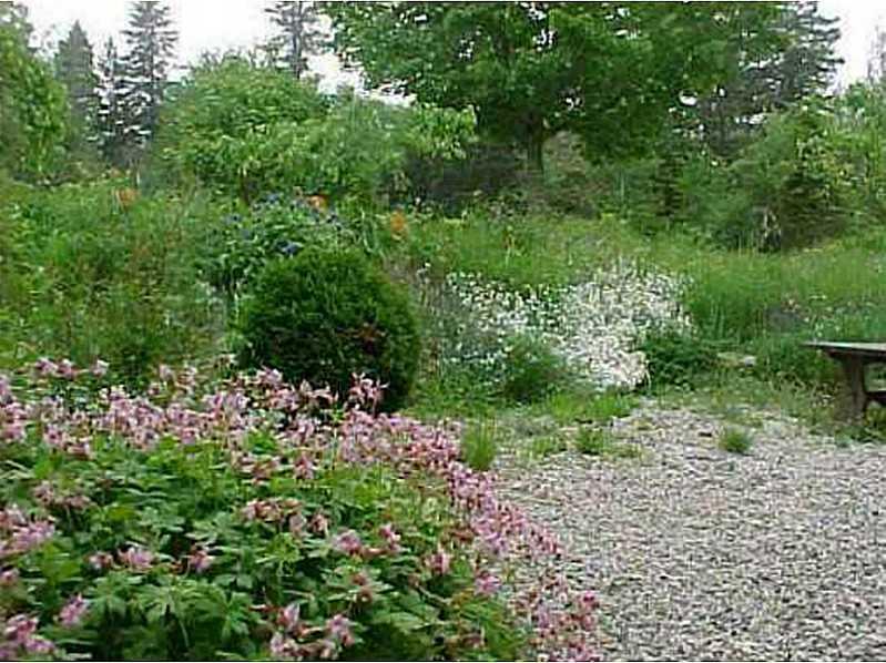 50 Taft Point Road Gouldsboro, ME 04607 - Photo 15 of 22 Yard/Garden. Sweet little...