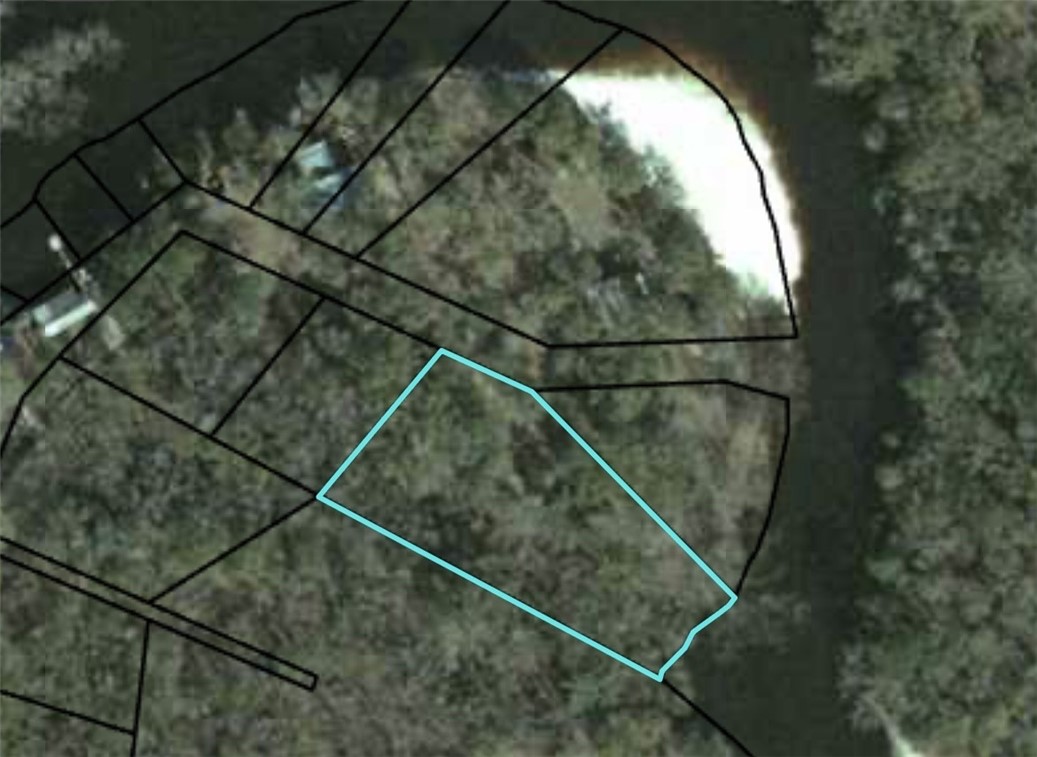 0 Lewis Landing Nahunta, GA 31553 - Photo 3 of 4