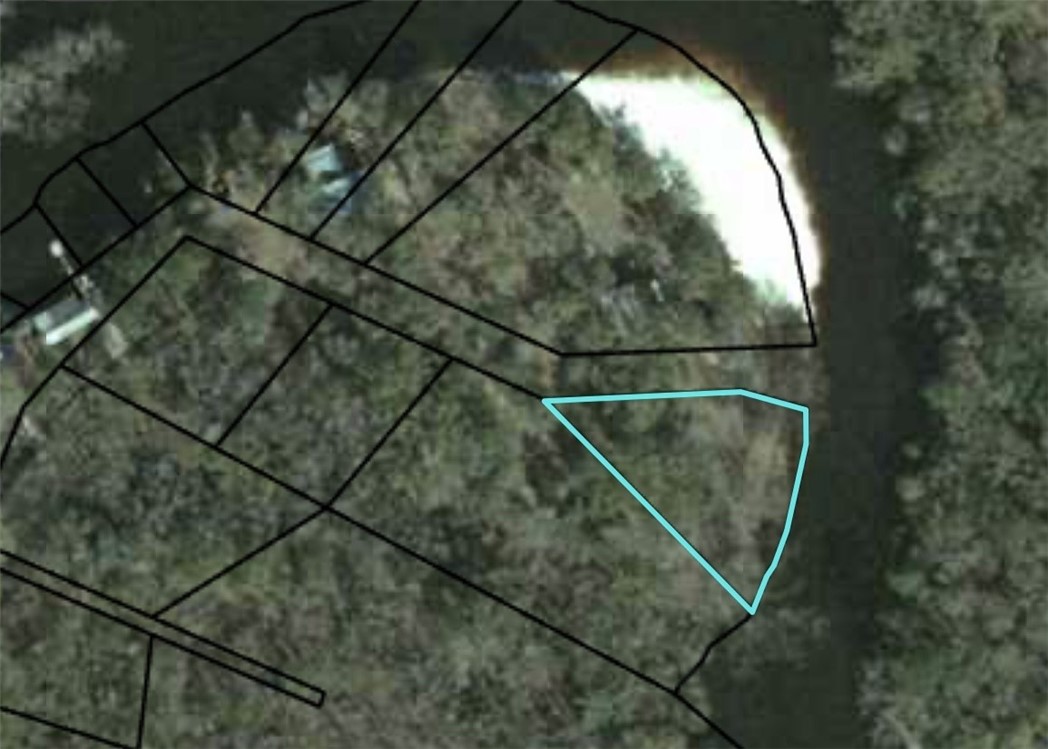 0 Lewis Landing Nahunta, GA 31553 - Photo 4 of 4