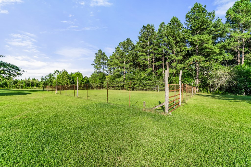 785 Lone Star Road Cameron, SC 29030 - Photo 35 of 36 Photo 35
