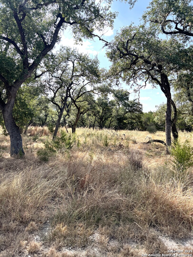 630 Indian Mound Road Tarpley, TX 78883 - Photo 79 of 96