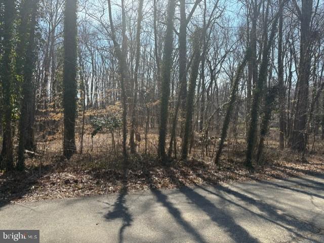 8119 Stacey Road Alexandria, VA 22308 - Photo 2 of 16