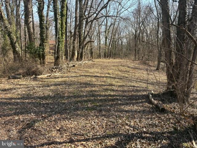 8119 Stacey Road Alexandria, VA 22308 - Photo 3 of 16