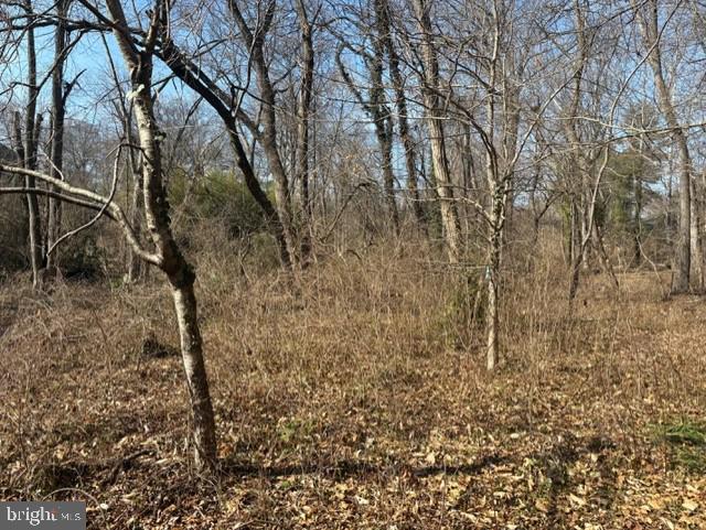 8119 Stacey Road Alexandria, VA 22308 - Photo 6 of 16