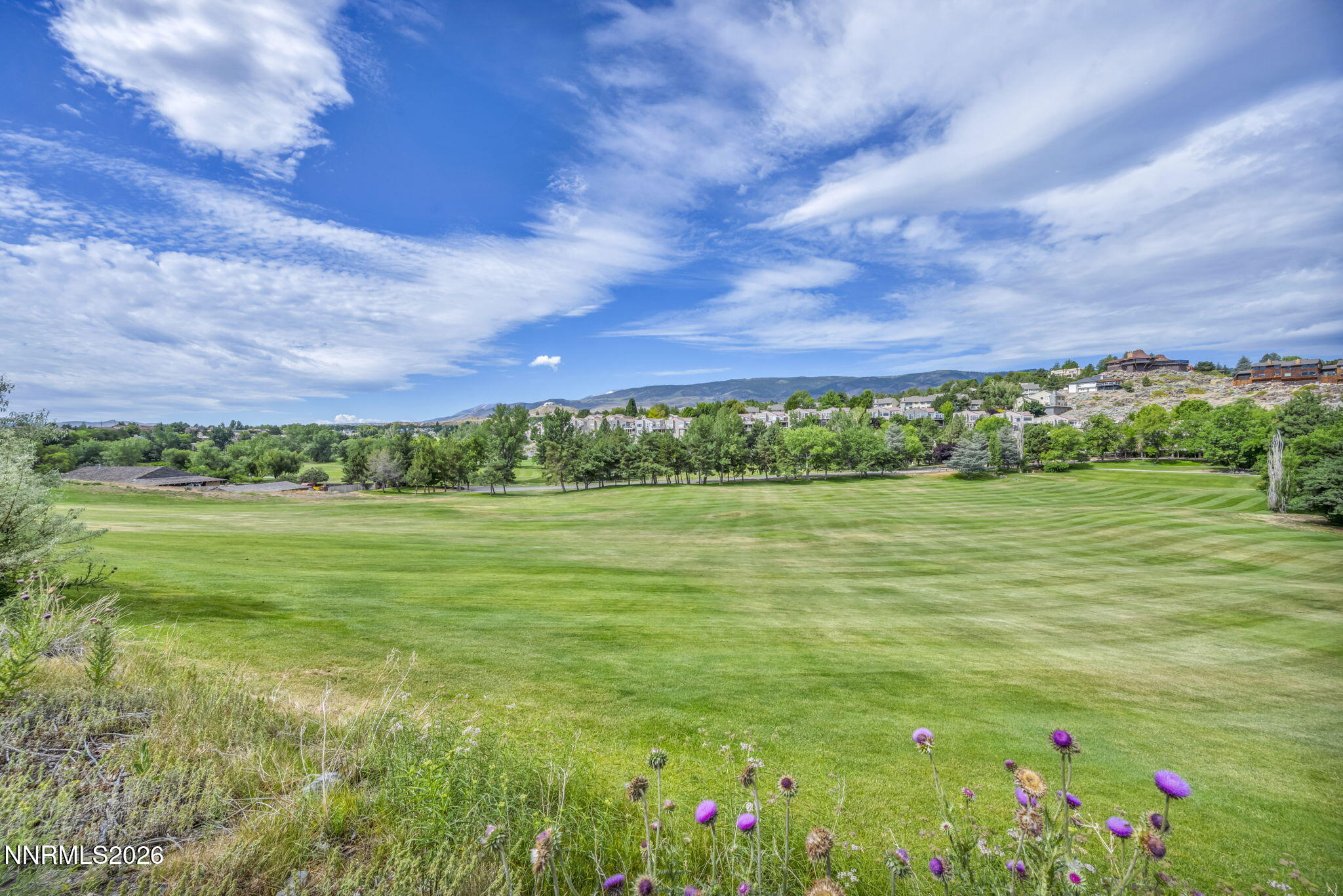 6008 Kelly Heights Way Reno, NV 89519 - Photo 29 of 45 21-web-or-mls-6008-kelly-hts-wy