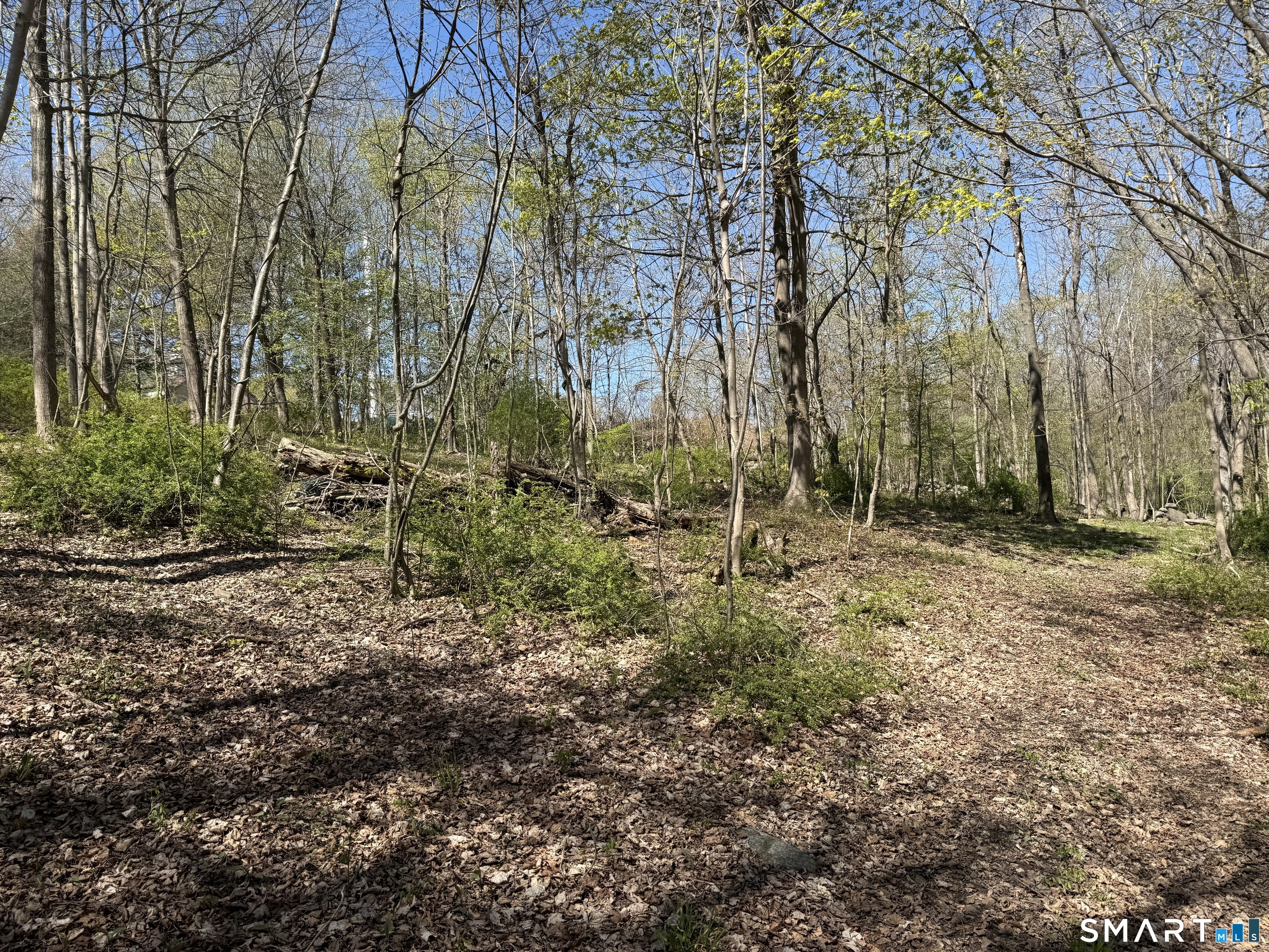163 Clapboard Ridge Road Danbury, CT 06811 - Photo 16 of 17 a view of backyard with green space