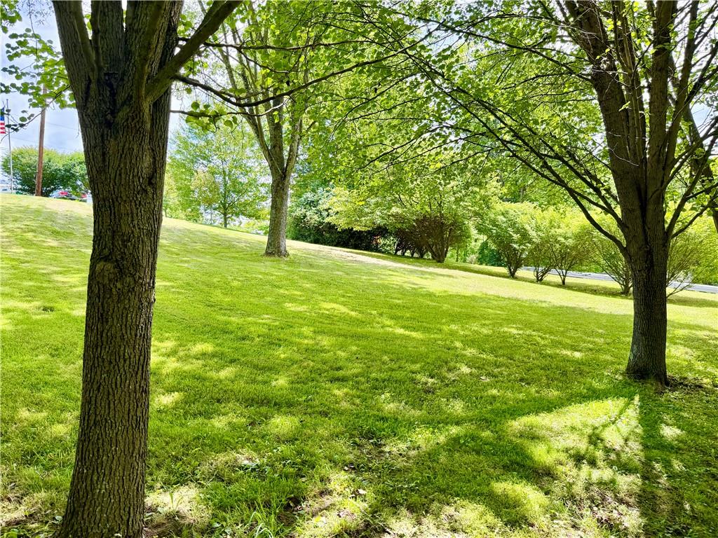 286 Willow Grove Road Masontown, PA 15461 - Photo 9 of 20