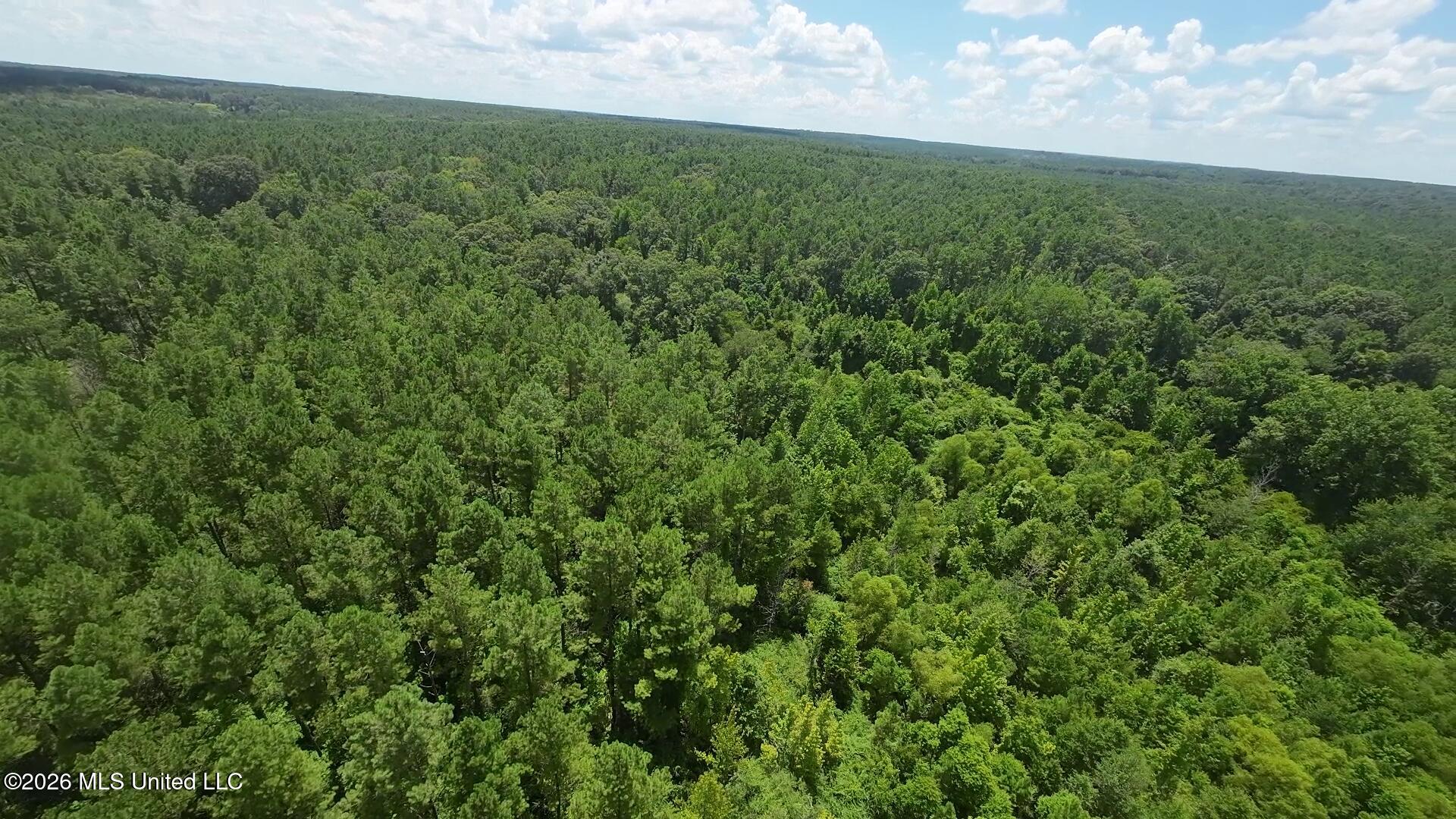 1026 Mt Olive Road Mount Olive, MS 39119 - Photo 61 of 63 vlcsnap-2026-07-14-10h24m39s342