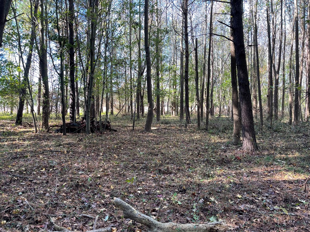 8-acres Redwood Road Onancock, VA 23417 - Photo 20 of 28