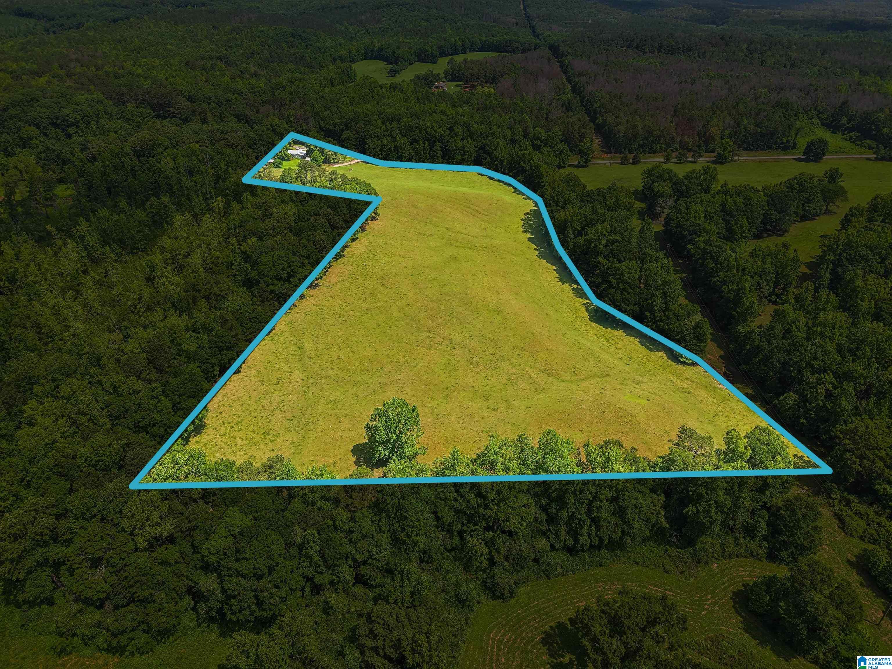 2026 Tyson Road Ashland, AL 36251 - Photo 18 of 63
