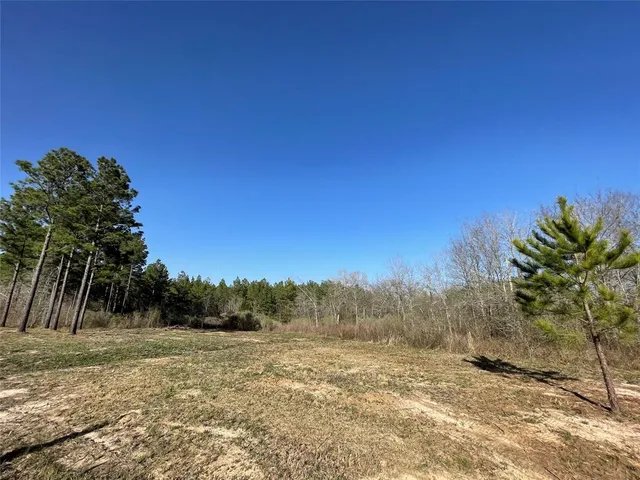 a view of a yard with an trees
