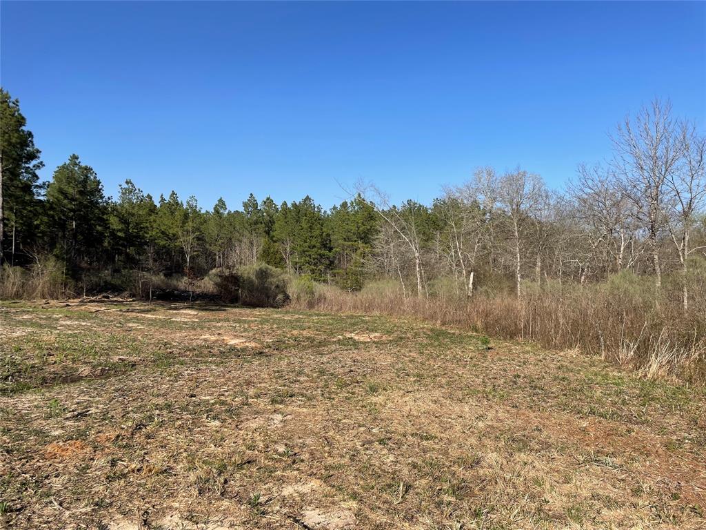157 Highway Benton La Plain Dealing, LA 71064 - Photo 3 of 4 a view of dirt field with trees in background