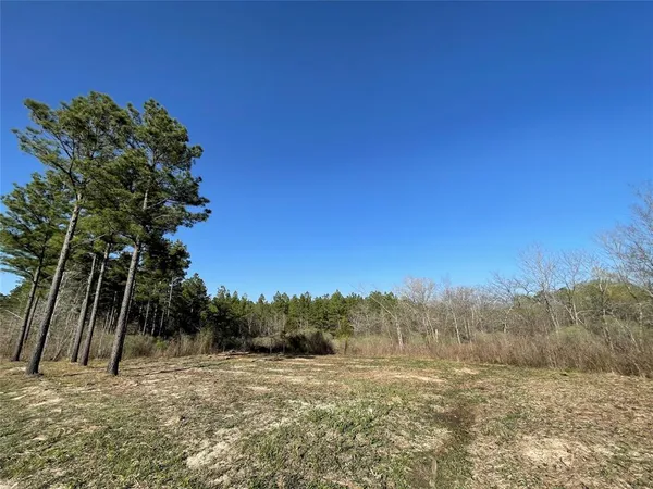a view of beach and yard
