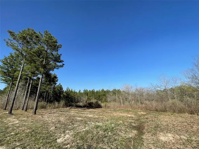 a view of beach and yard