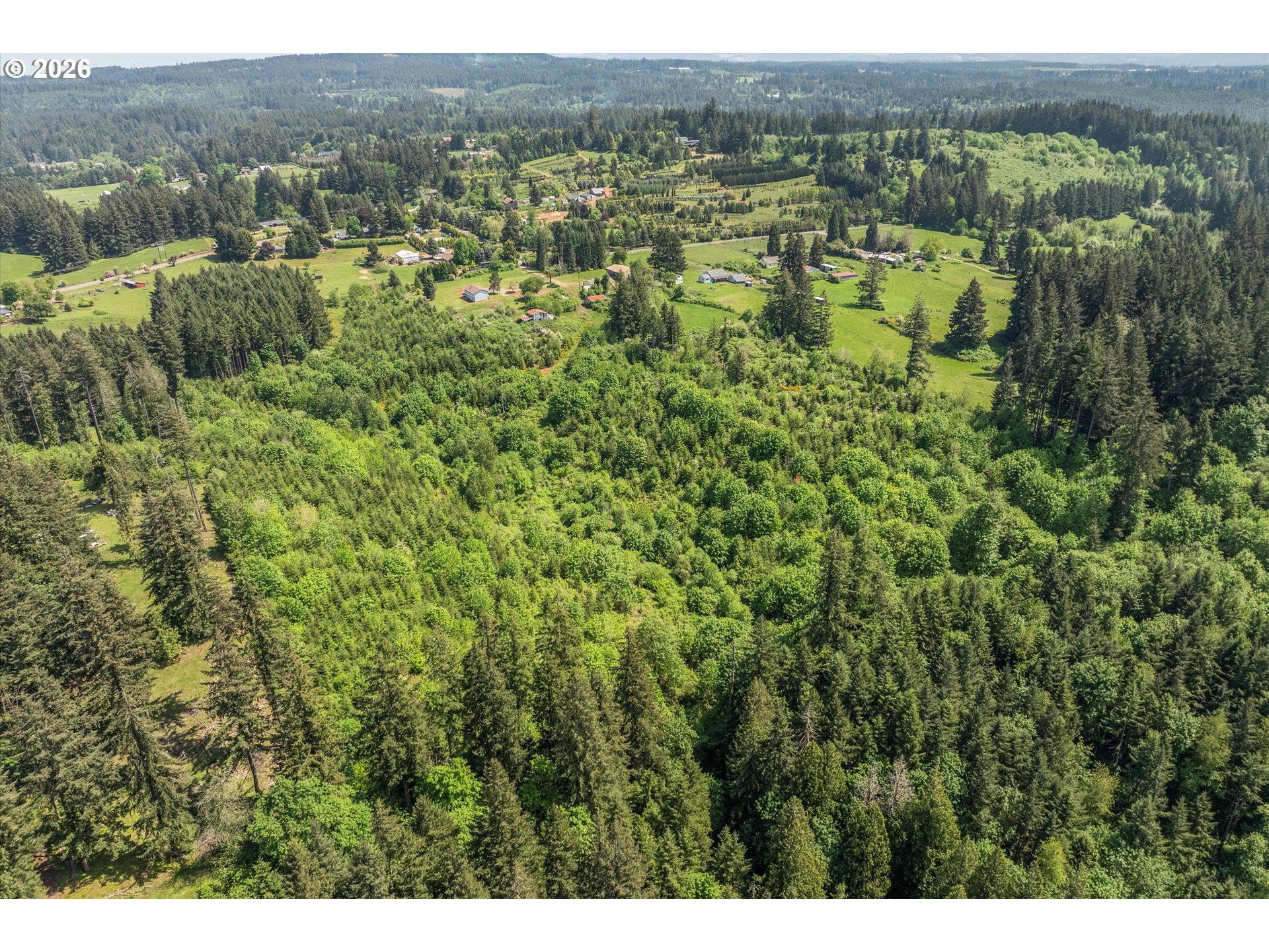 24271 South Larkin Road Beavercreek, OR 97004 - Photo 43 of 43