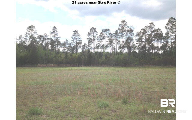 25885 Goat Cooper Road Robertsdale, AL 36567 - Photo 13 of 44