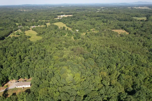 a view of a city with lush green forest