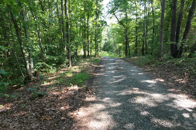 a big yard with lots of green space and deers