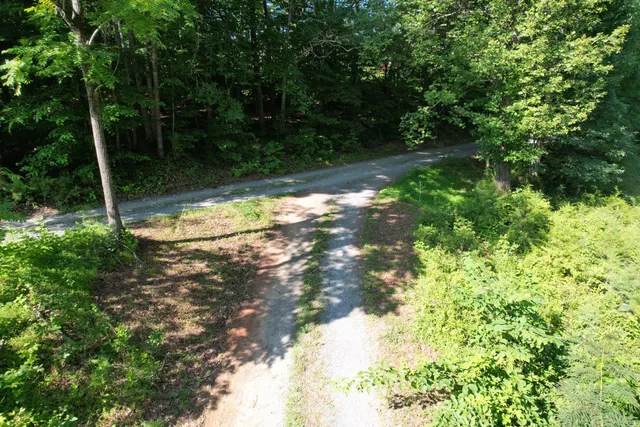 a view of a tree in a yard next to a yard