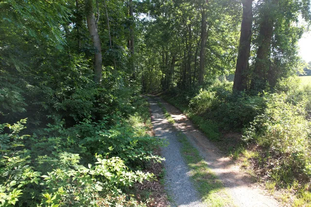 a view of a lake in a forest