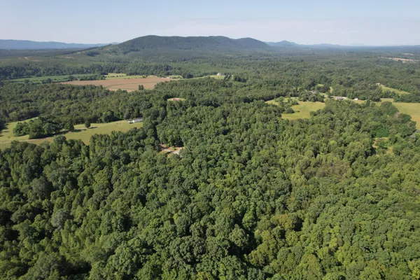a view of a town with trees in the background