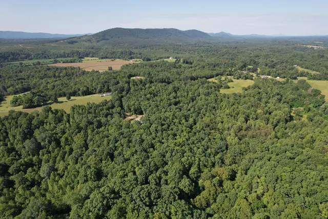 a view of a town with trees in the background