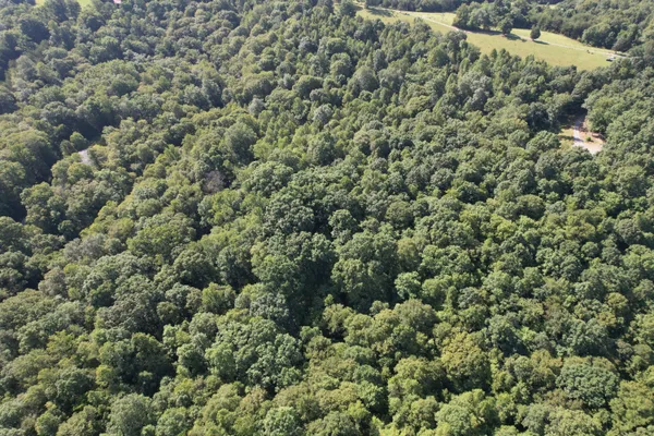 an aerial view of a houses with a yard