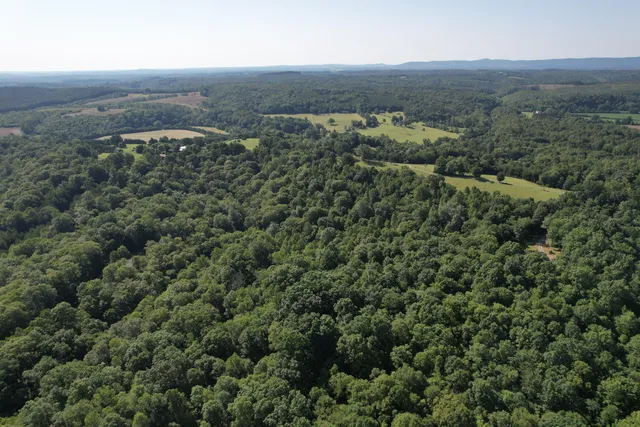 an aerial view of residential house and green space