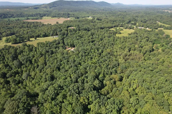 an aerial view of forest