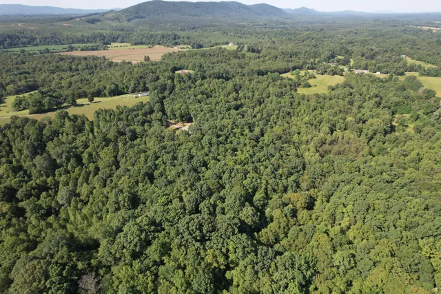 an aerial view of forest