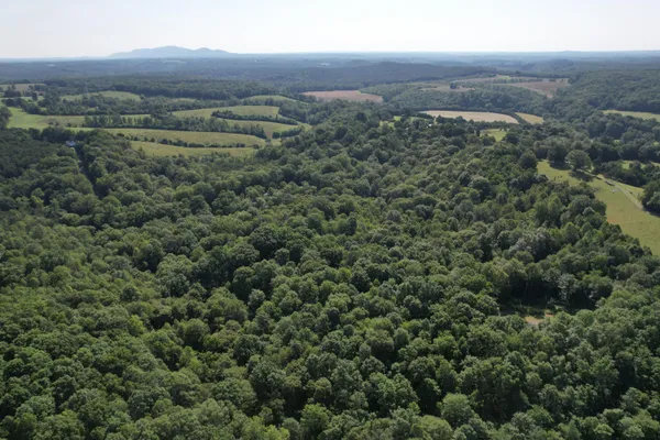 a view of outdoor space and green space