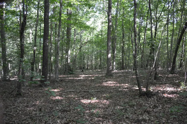a view of outdoor space and green space