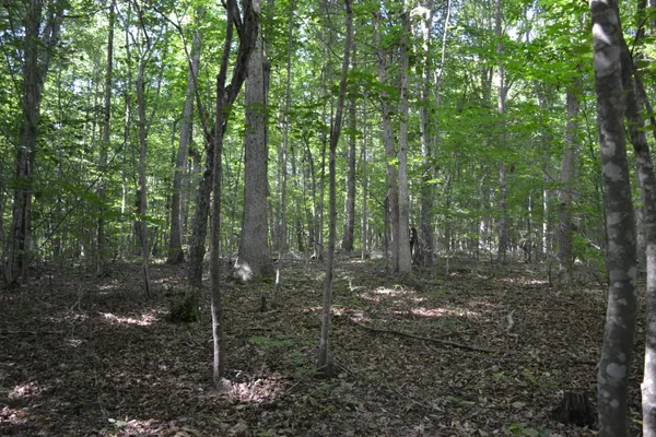 a view of a swimming pool