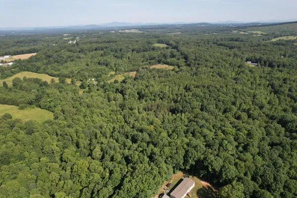 a view of a city with lush green forest