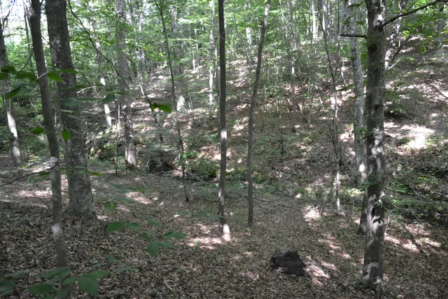 a view of outdoor space and street view