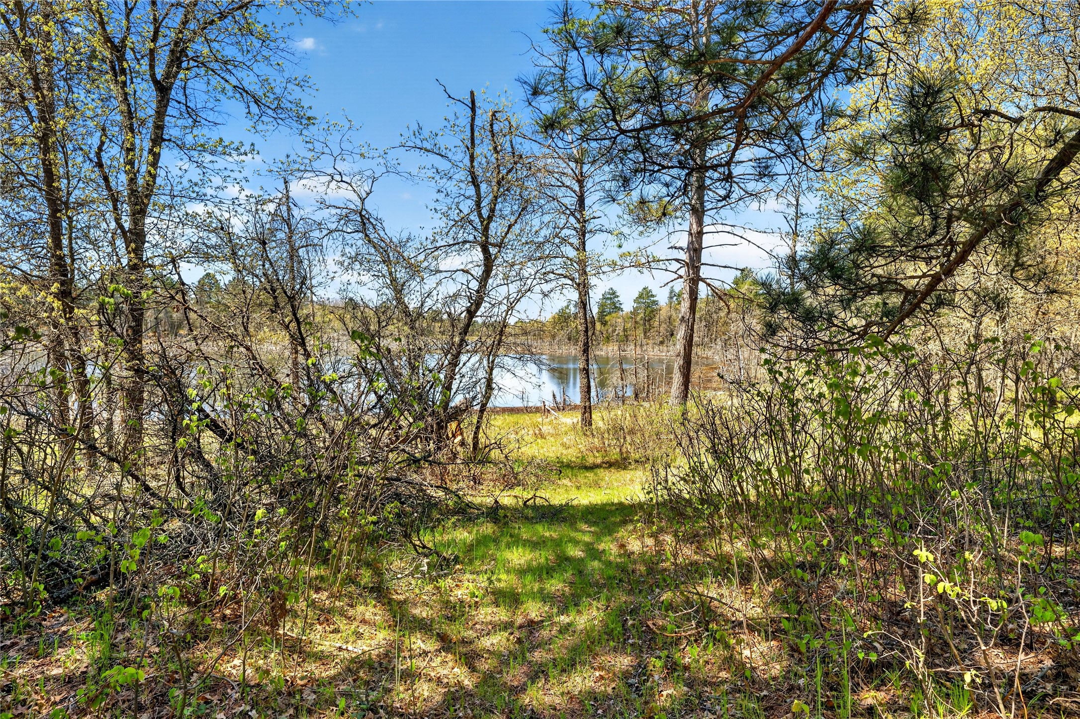 55065 Silverwolf Drive Barnes, WI 54873 - Photo 13 of 23