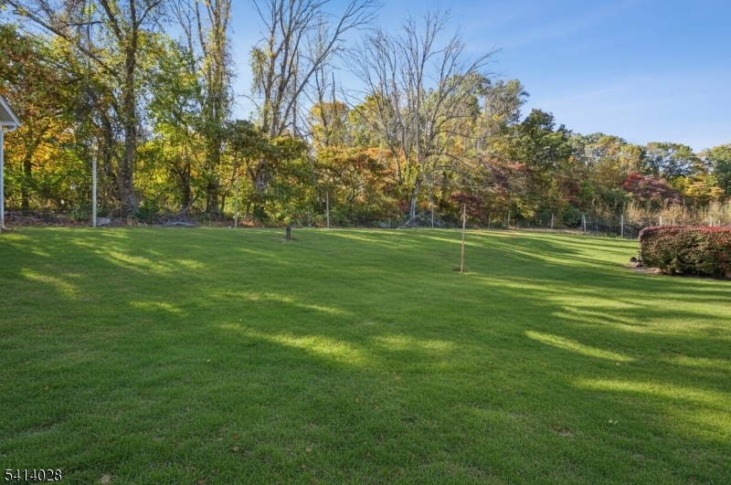 193 Parker Road Long Valley, NJ 07853 - Photo 12 of 13 a big yard with lots of green space and trees