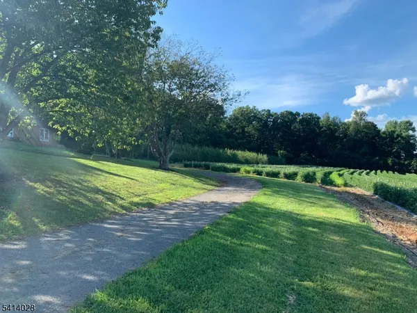 a view of a golf course with a lake