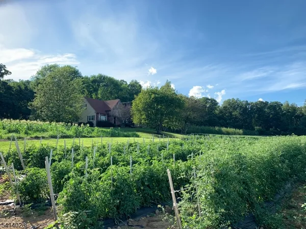 a view of a yard